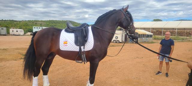 Se vende a Japones MFE IV 