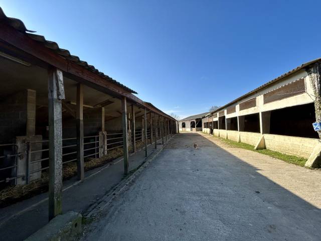 Centro ecuestre En venta Morbihan