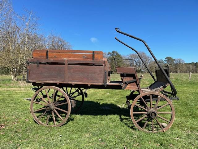 Coche enganches - Calesa   