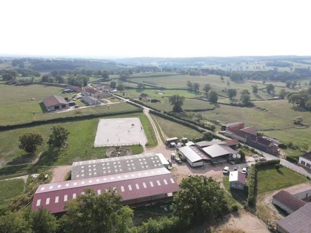 Acaballadero En venta Saona y Loira