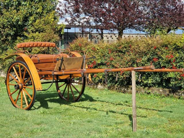 Coche enganches - Calesa   