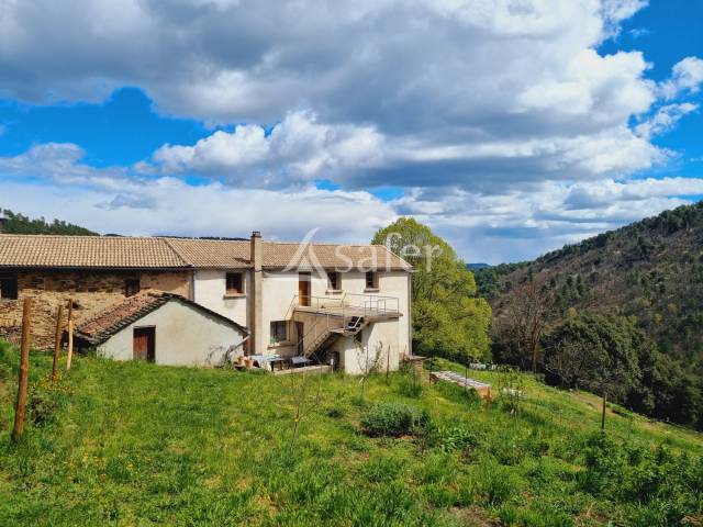 Explotación hortensa En venta Gard