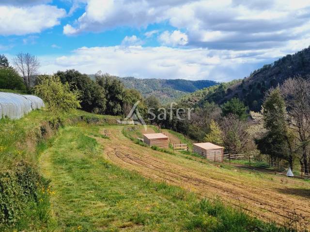 Explotación hortensa En venta Gard