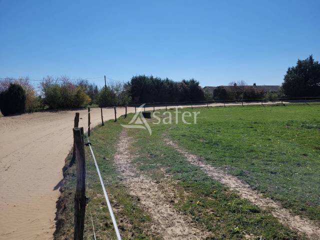 Propiedad ecuestre En venta Saona y Loira
