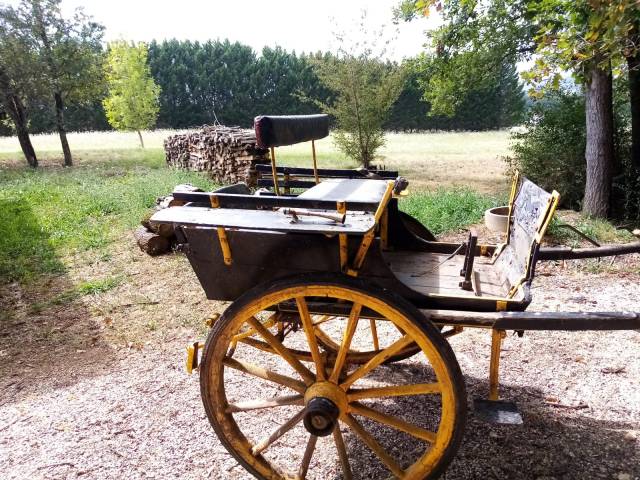 Coche enganches - Calesa   