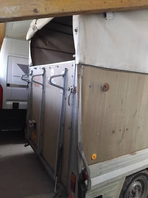 Van caballos Westfalia  2 Caballos 1986 De segunda mano