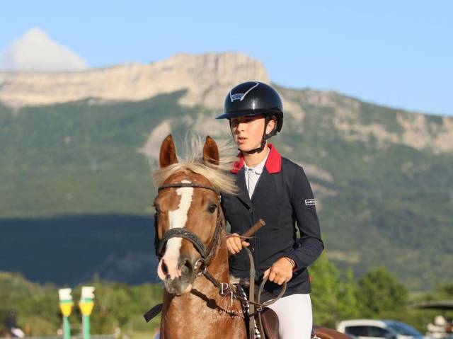 Caballo entero PFS Poni Françés de Silla En venta 2019 Alazán por Boston du verdon