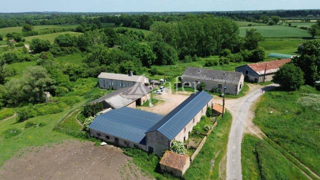 Explotación ovina En venta Vienne