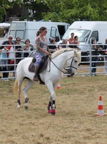 Yegua CDE Caballo Deporte Espanol En venta 2005 Tordo