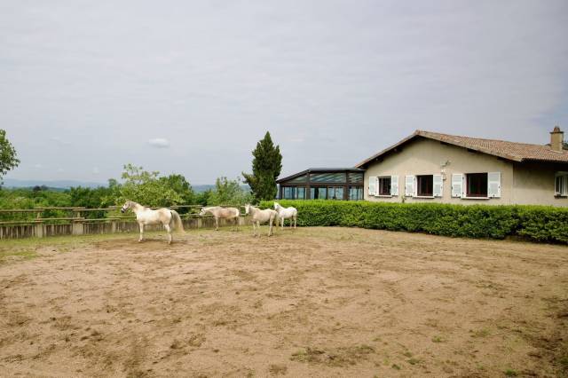 Propiedad ecuestre En venta Ródano