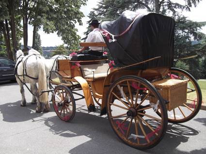 Coche enganches - Vis a vis - Otra marca -  