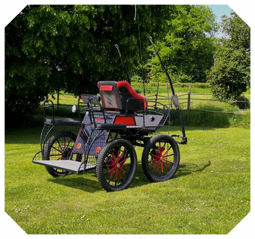 Coche enganches - Calesa - Otra marca - Caleche EQUITECH VELOCE 125 L 
