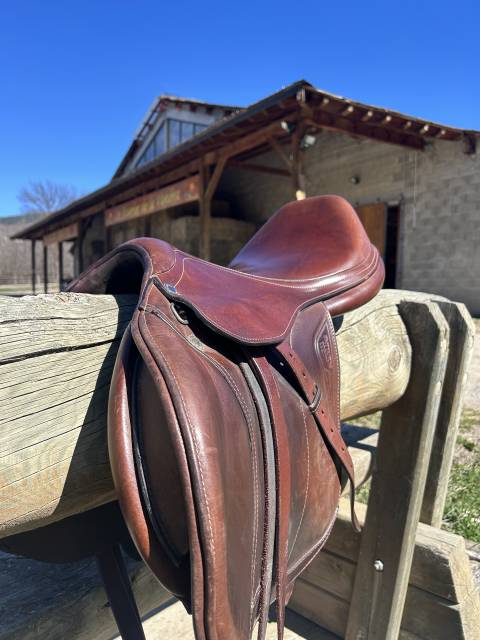 Montura salto Equiline