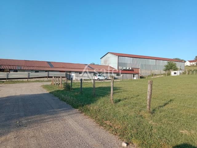 Explotación ovina En venta Jura