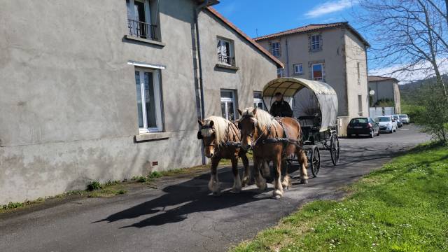 Coche enganches - Coche de caballos utilitario   