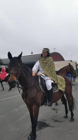 Yegua KWPN Caballo de Deporte Neerlandés En venta 2001 Bayo moreno