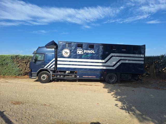 Camion 9 caballos