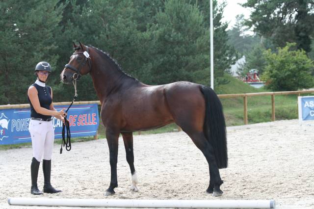 KENPACHI EBC - Connemara 2020