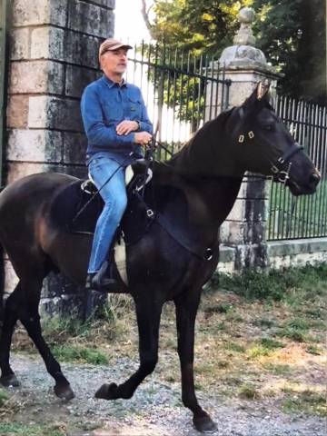 Caballo castrado Lusitano En venta 2007 Negro por VALSEUR RBO