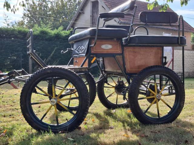 Coche enganches - Maratón ocio  H. Glinkowski 