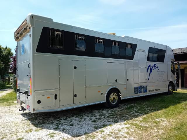 Camión para caballos AKX STRALYS IVECO 2012 De segunda mano