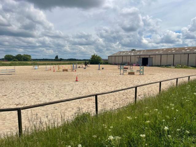 Acaballadero En venta Essonne