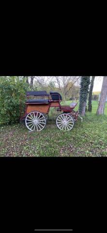 Coche enganches - Calesa - Otra marca -  