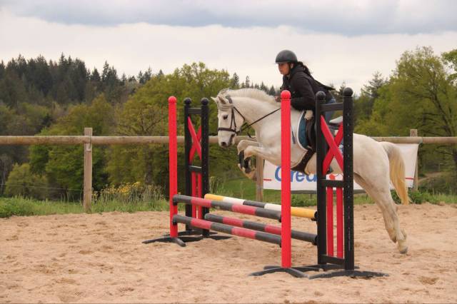 Caballo castrado Connemara En venta 2021 Tordo por Un été au Ponthouar, Co
