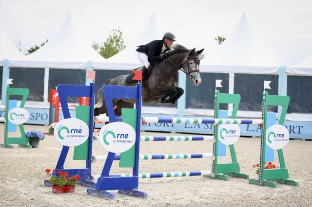 Yegua Silla Francés En venta 2019 Tordo por Cicave du talus