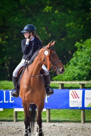 Yegua Silla Francés En venta 2013 Bayo por OGRION DES CHAMPS