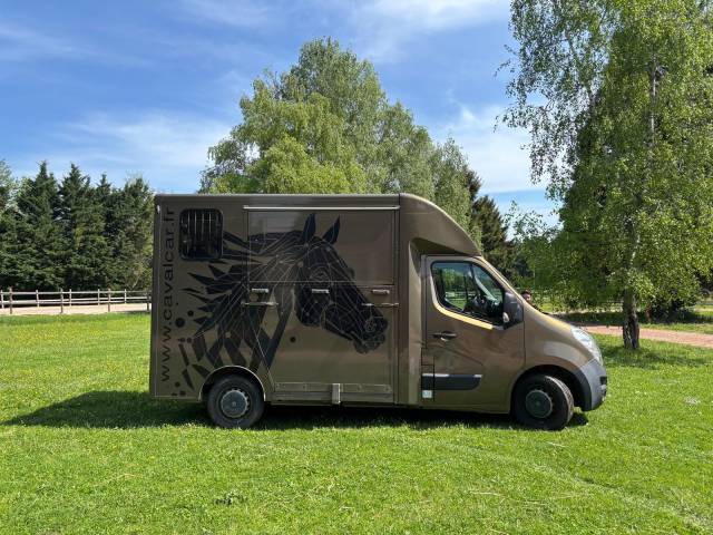 Furgoneta para caballos Cavalcar OPEL 2018 De segunda mano