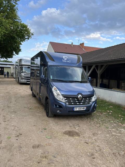 Furgoneta para caballos Theault  proteo swich 2019 De segunda mano
