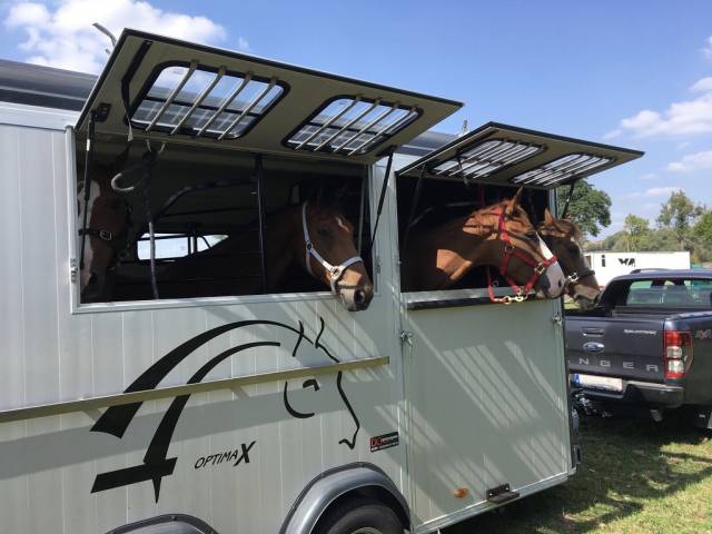 Van caballos Cheval Liberté Optimax  4 Caballos 2018 De segunda mano