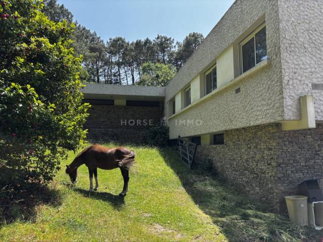 Propiedad ecuestre En venta Morbihan