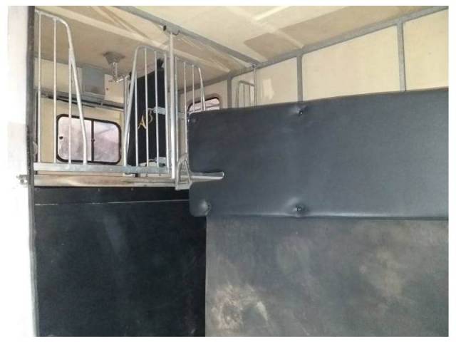 Furgoneta para caballos Renault Master 2006 De segunda mano