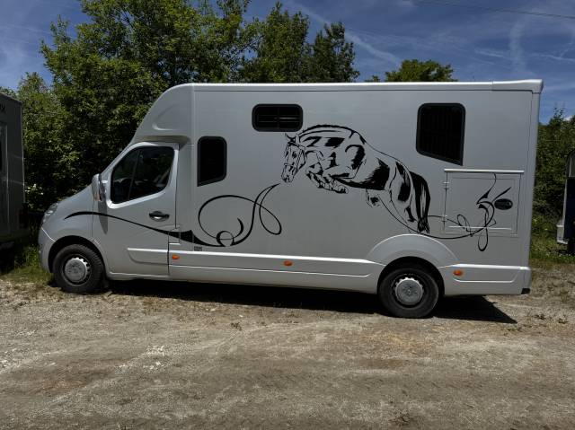Furgoneta para caballos MTM  2014 De segunda mano