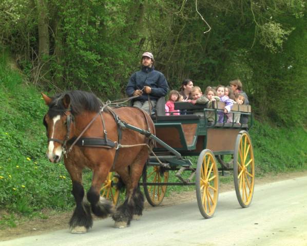Coche enganches - Break - Otra marca - Tourisme  