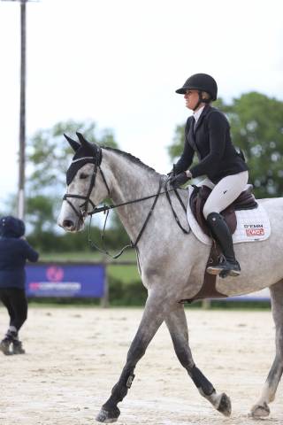 Yegua de ganadería Silla Francés En venta 2018 Tordo por Clarimo