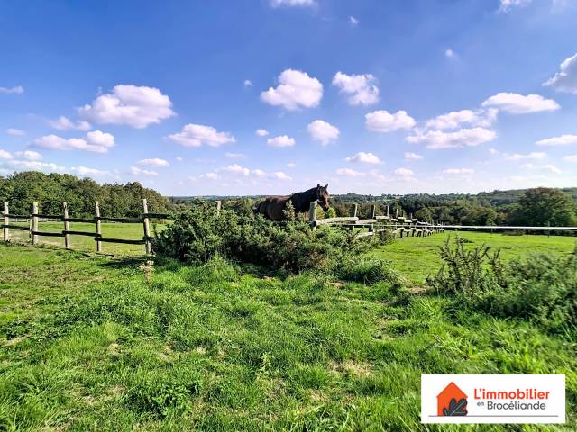 Bonita residencia ecuestre En venta Ile y Vilaine