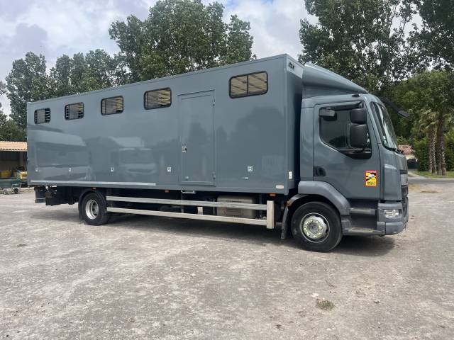Camión para caballos Daf daf lf 2015 De segunda mano