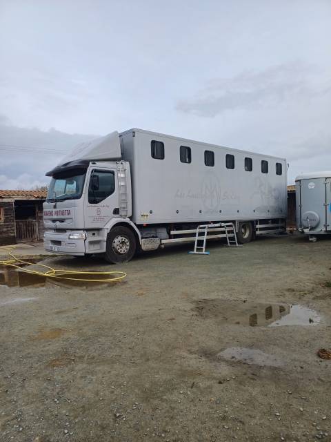 Camión para caballos Renault premuim 1997 De segunda mano