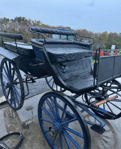 Coche enganches - Calesa - Otra marca -  