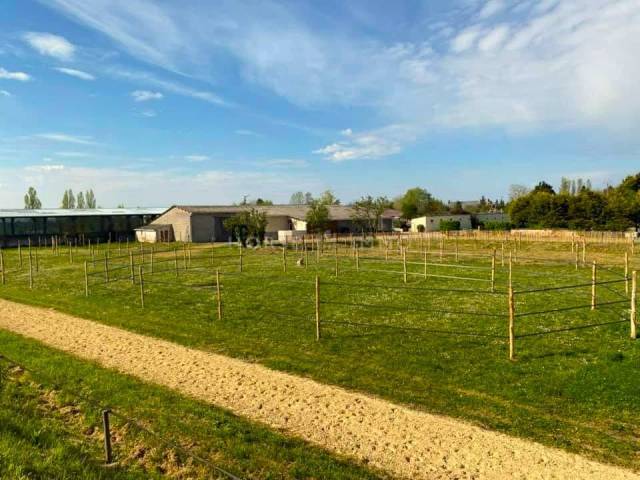 Acaballadero En venta Indre y Loira