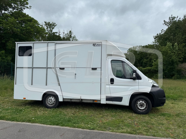 Furgoneta para caballos AP Petit Fiat Ducato 2014 De segunda mano