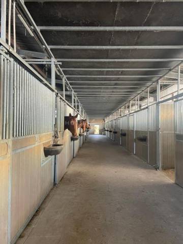 Propiedad ecuestre En venta Morbihan