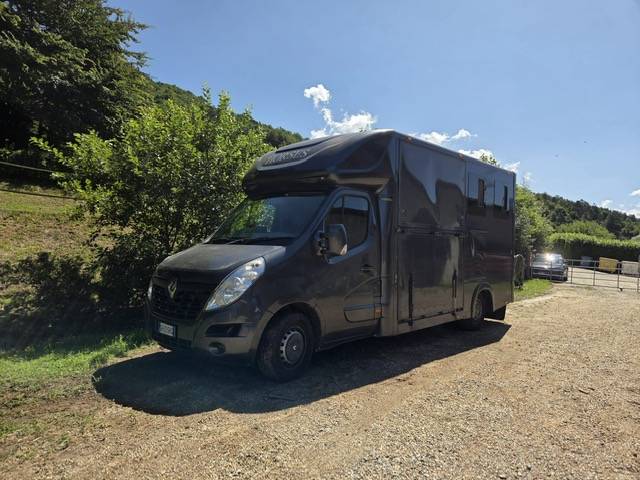 Furgoneta para caballos Trans Box top line 2015 De segunda mano