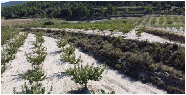 Terreno + Proyecto de centro hípico en La Sarga