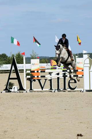 Caballo castrado Zangersheide En venta 2015 Tordo por LAVILLON