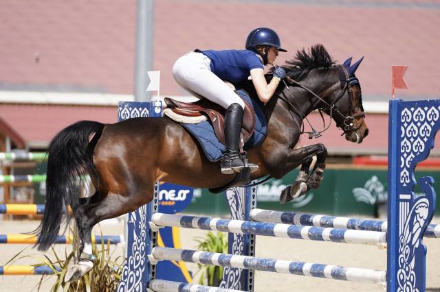 Yegua Poni de Silla Alemán, Deutsches Reitpony En venta 2015 Bayo moreno
