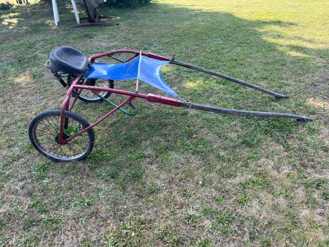 Coche enganches - Sulky - Otra marca -  